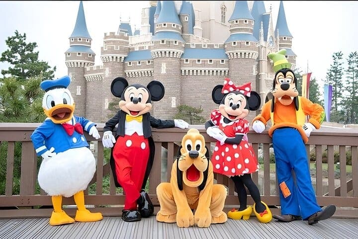 Билет в Tokyo Disneyland и совместный трансфер