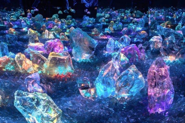 Киото: входной билет в teamLab Biovortex