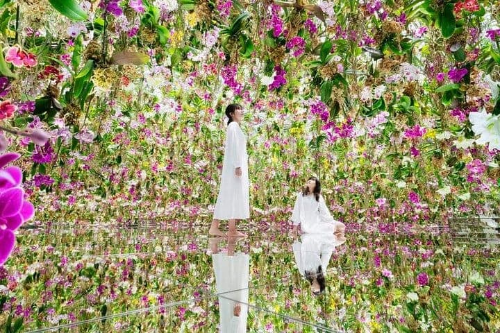 Входной билет в teamLab SuperNature Macao